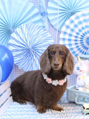 20231122ジョナくん